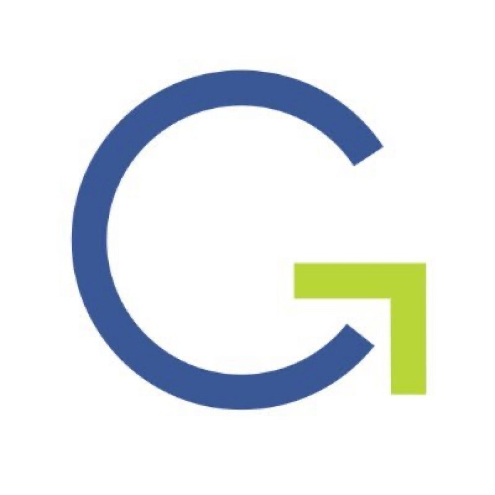 Government Strategies Group