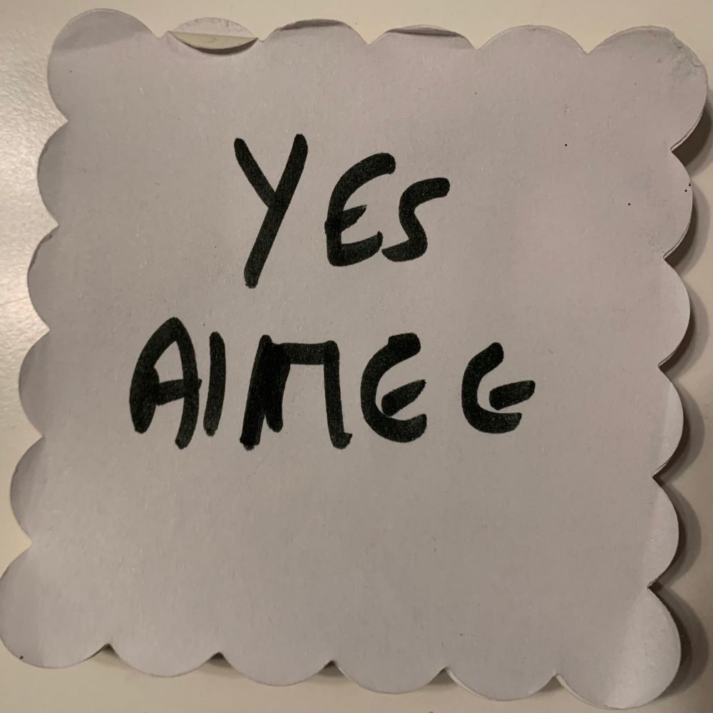 Aimee Ansari