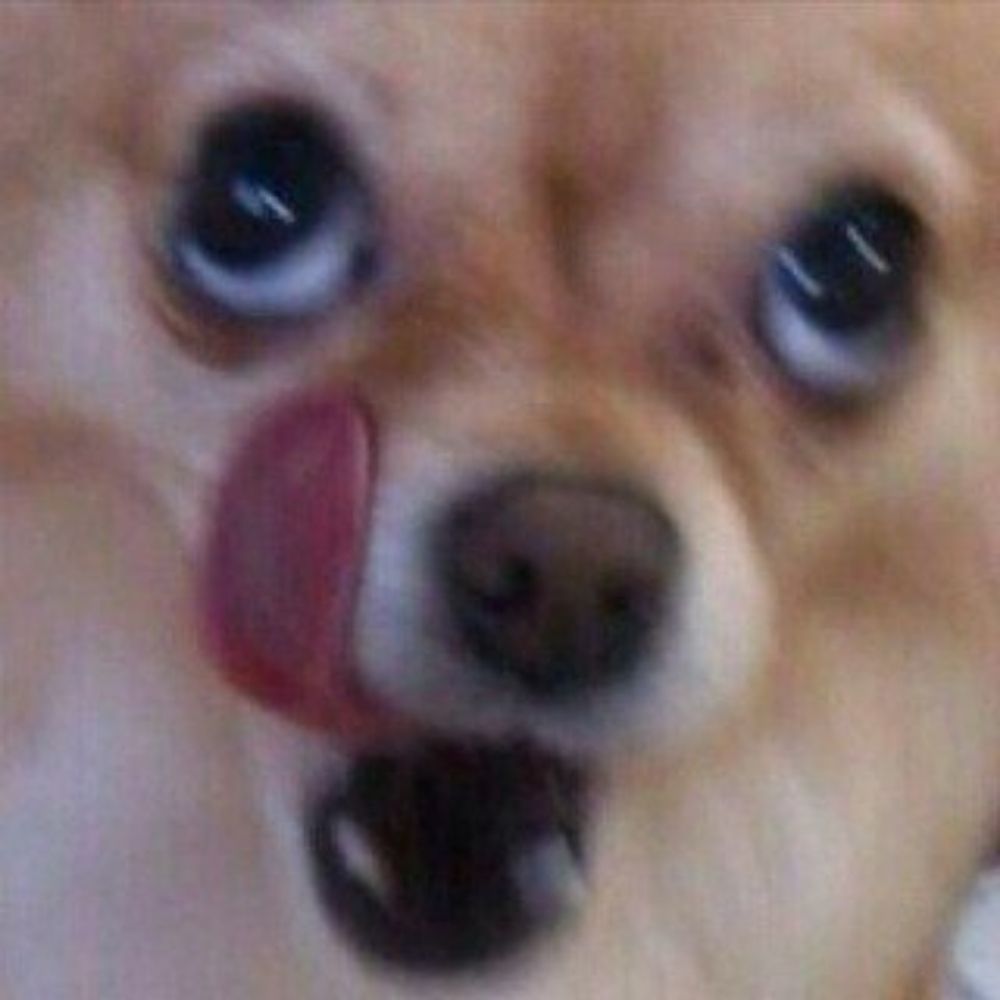 구도기