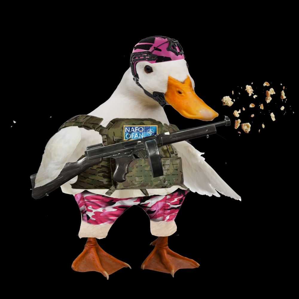 Duckbird Fella 🇬🇧 🇺🇦