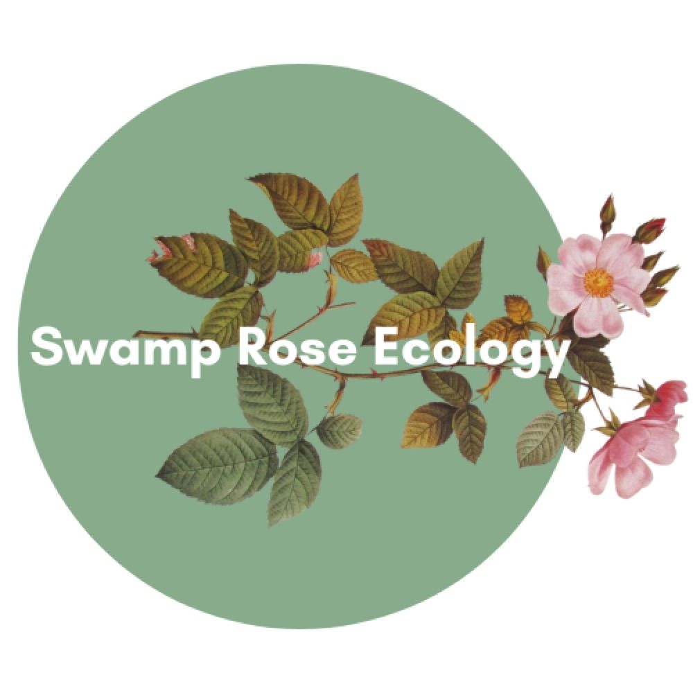 Swamp Rose Ecology