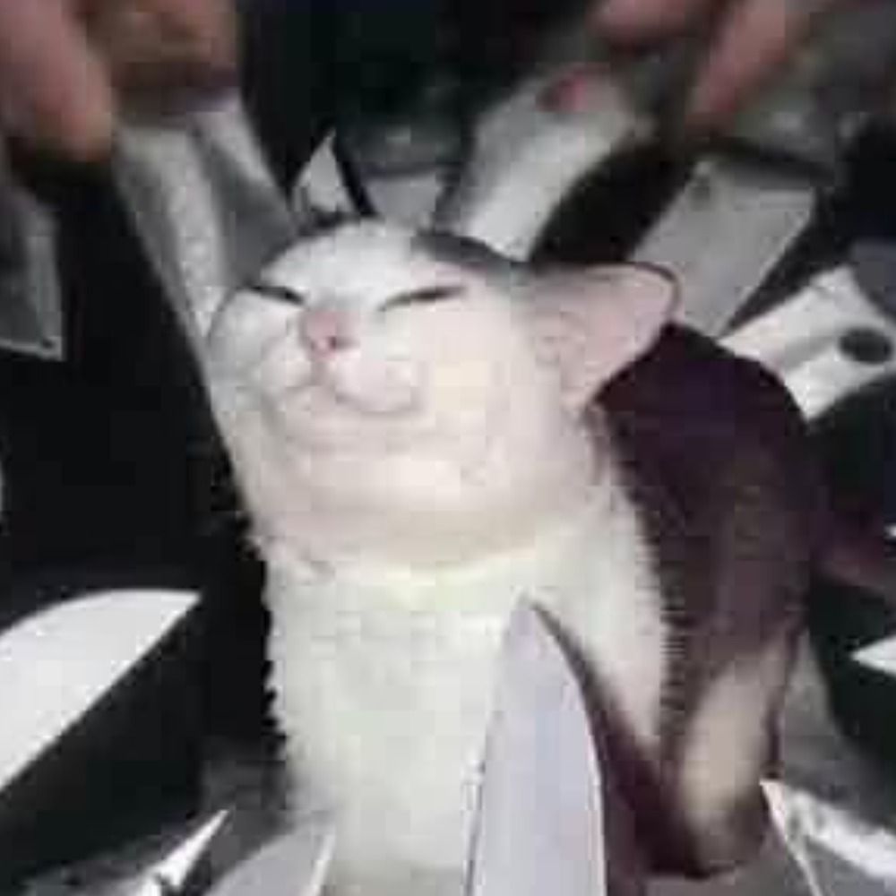 시아