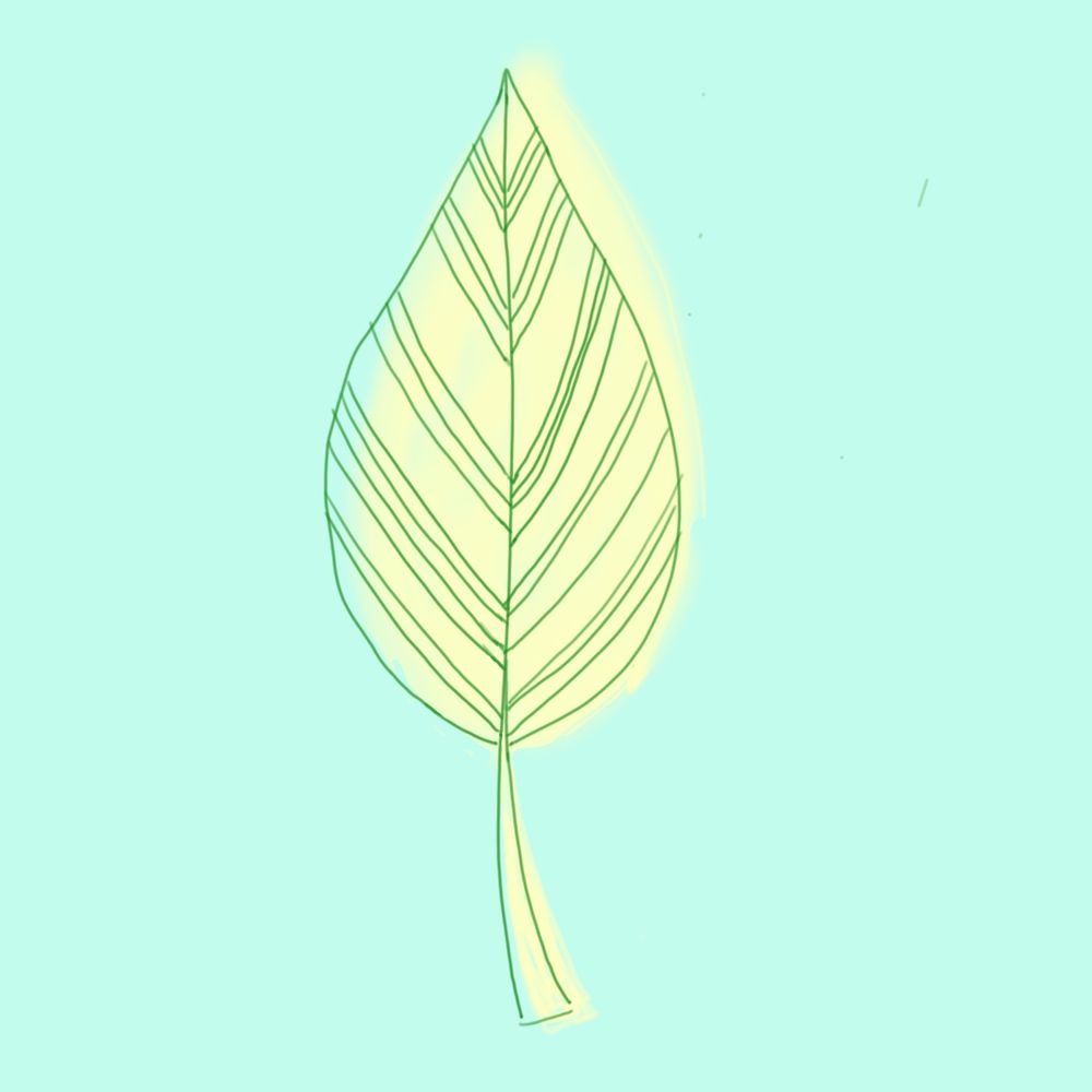 えむたん