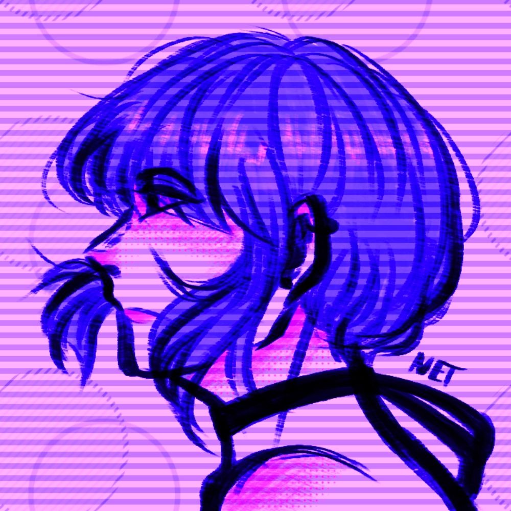 net ✦