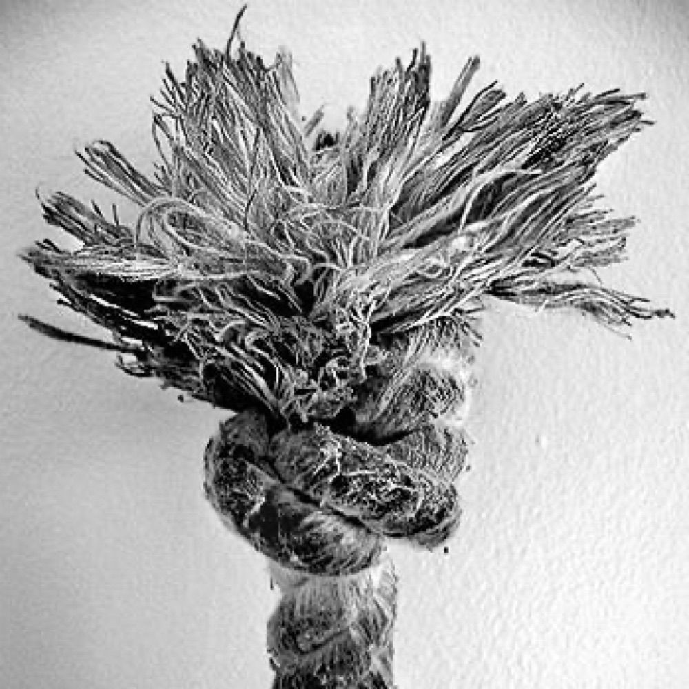 AFrayedKnot13