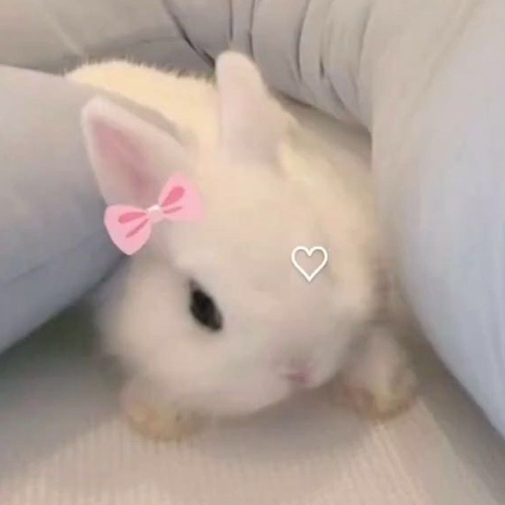 Nono🌸