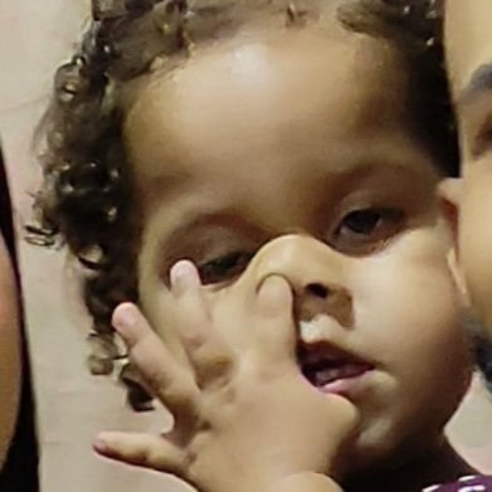 Abelha rainha