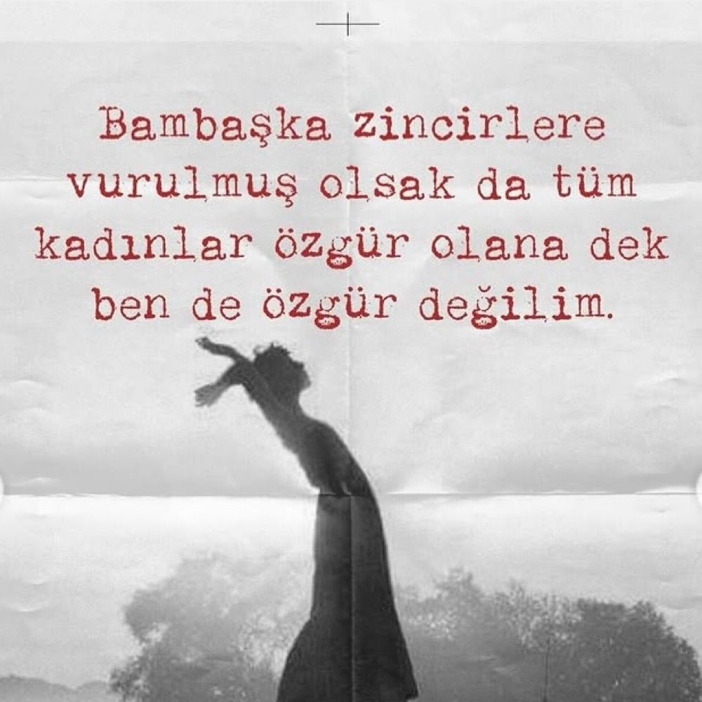 Nilgün özçelik