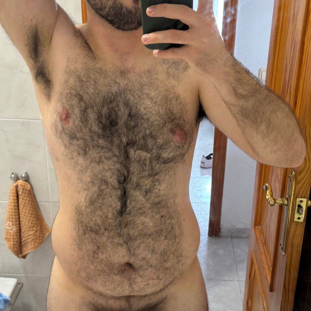 Lomito 🐻