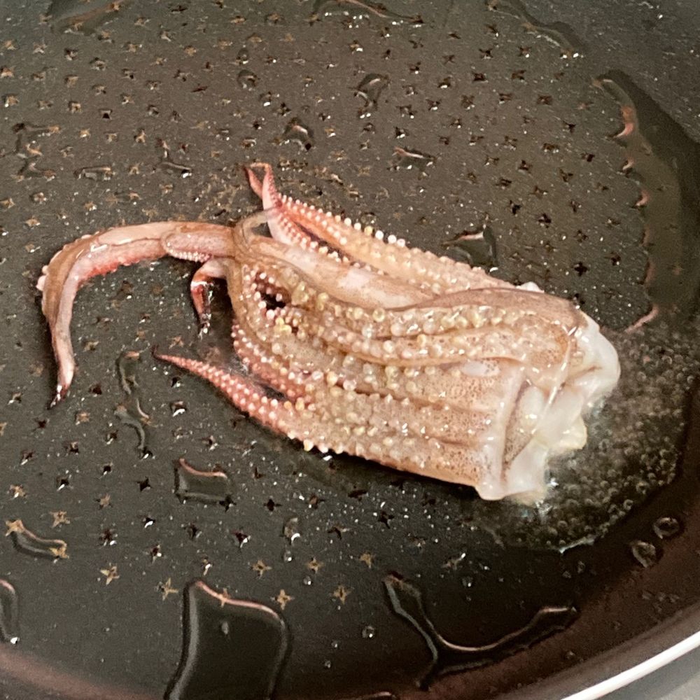 豊