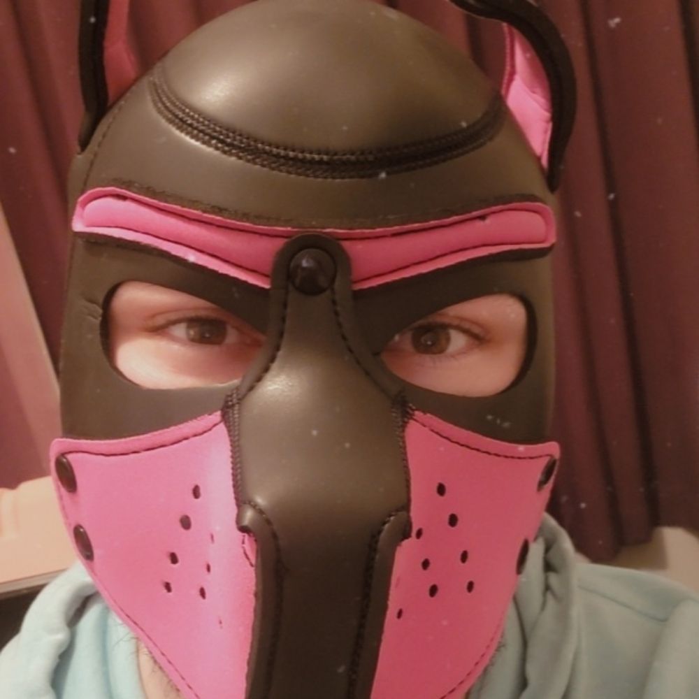Pup Axel NZ