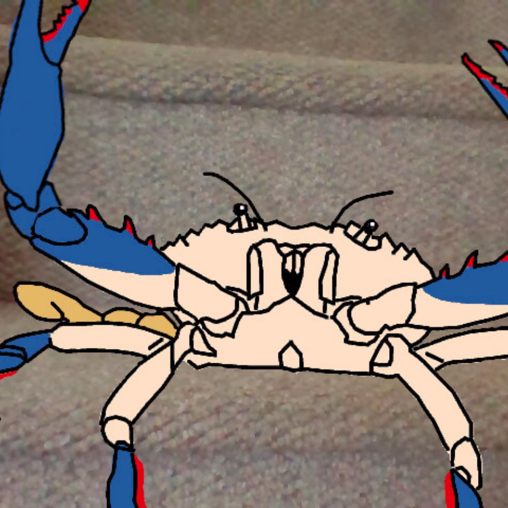 Juicebox the bluecrab's avatar