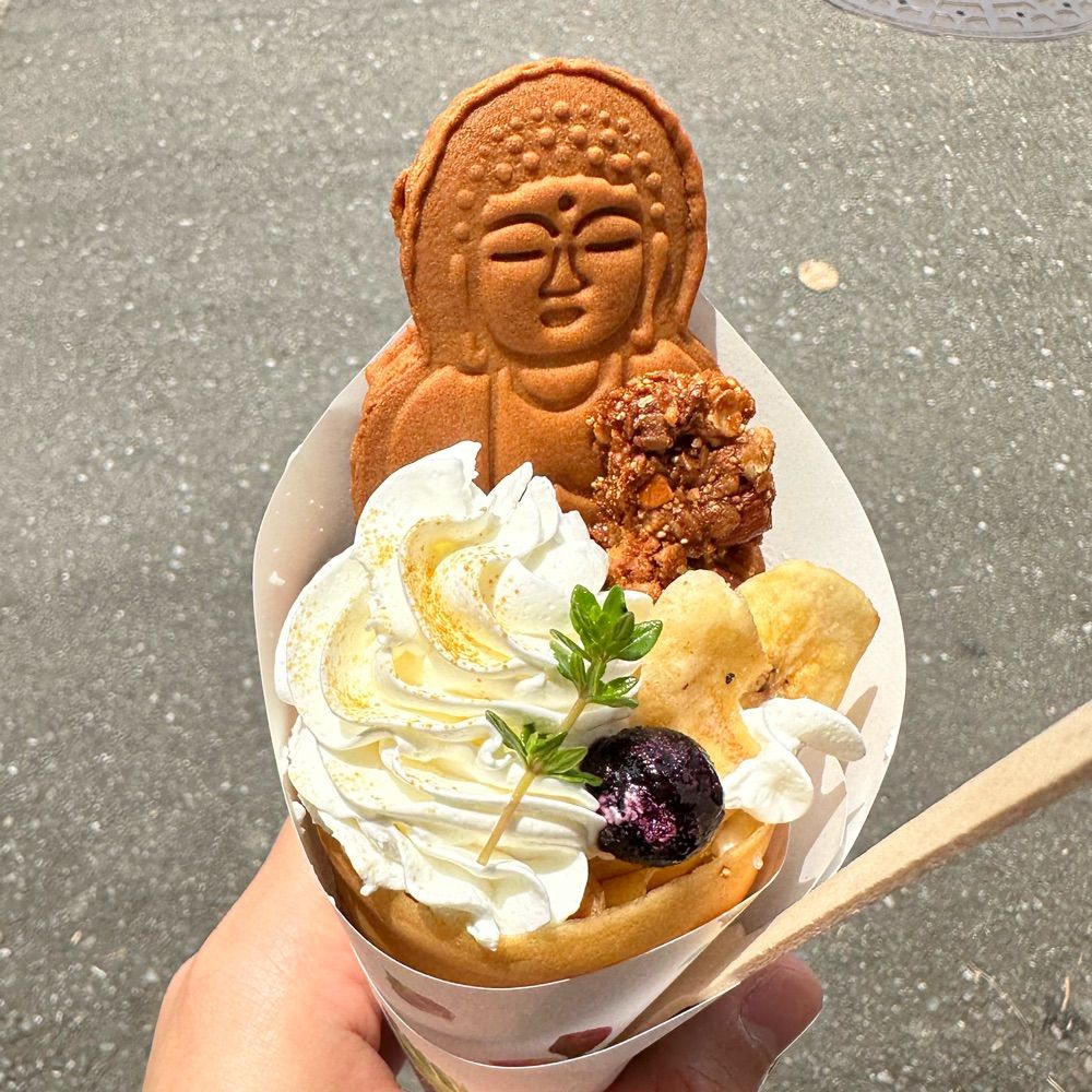 ソリツシノン