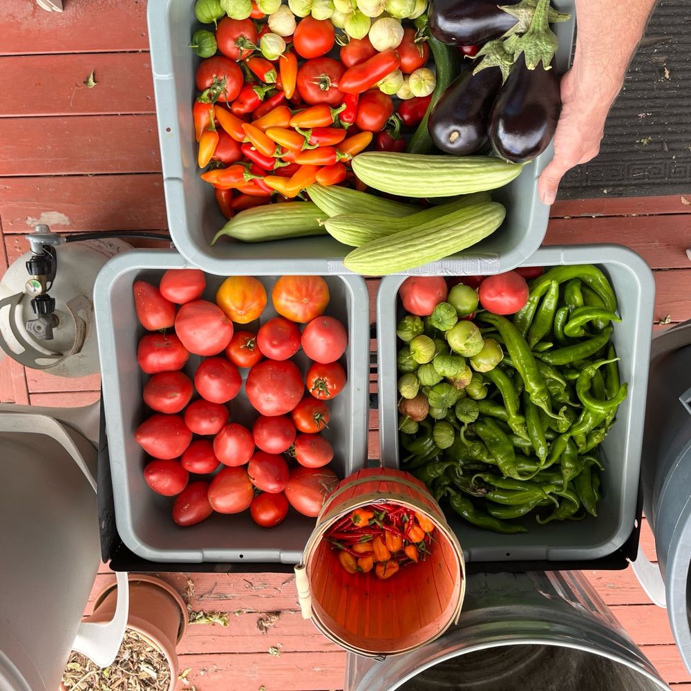 Farmer Bill