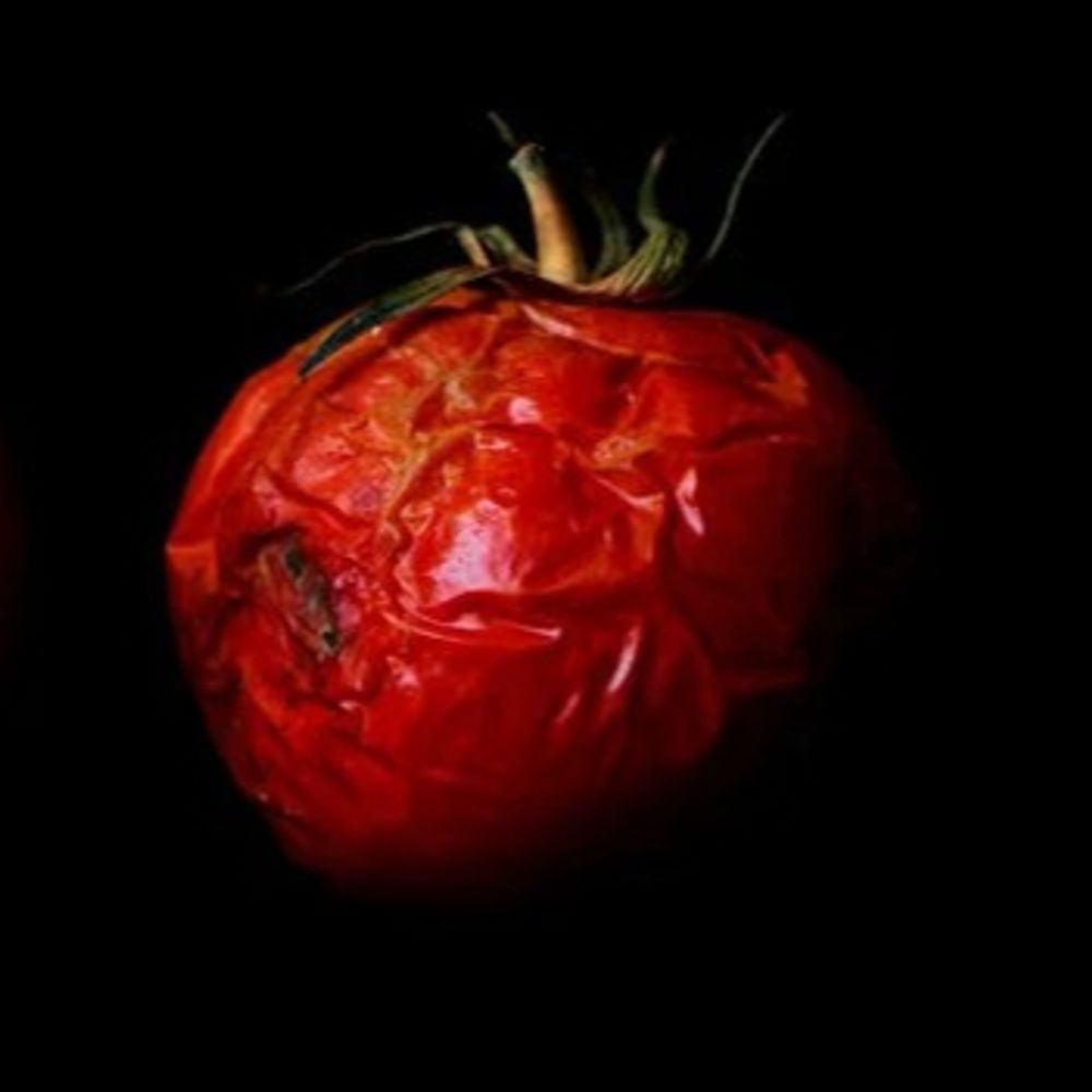 Bad Tomato