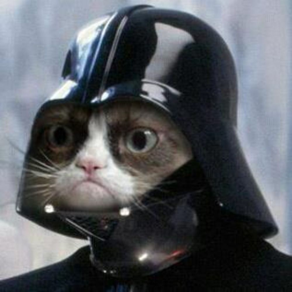 GrumpyVaderCat