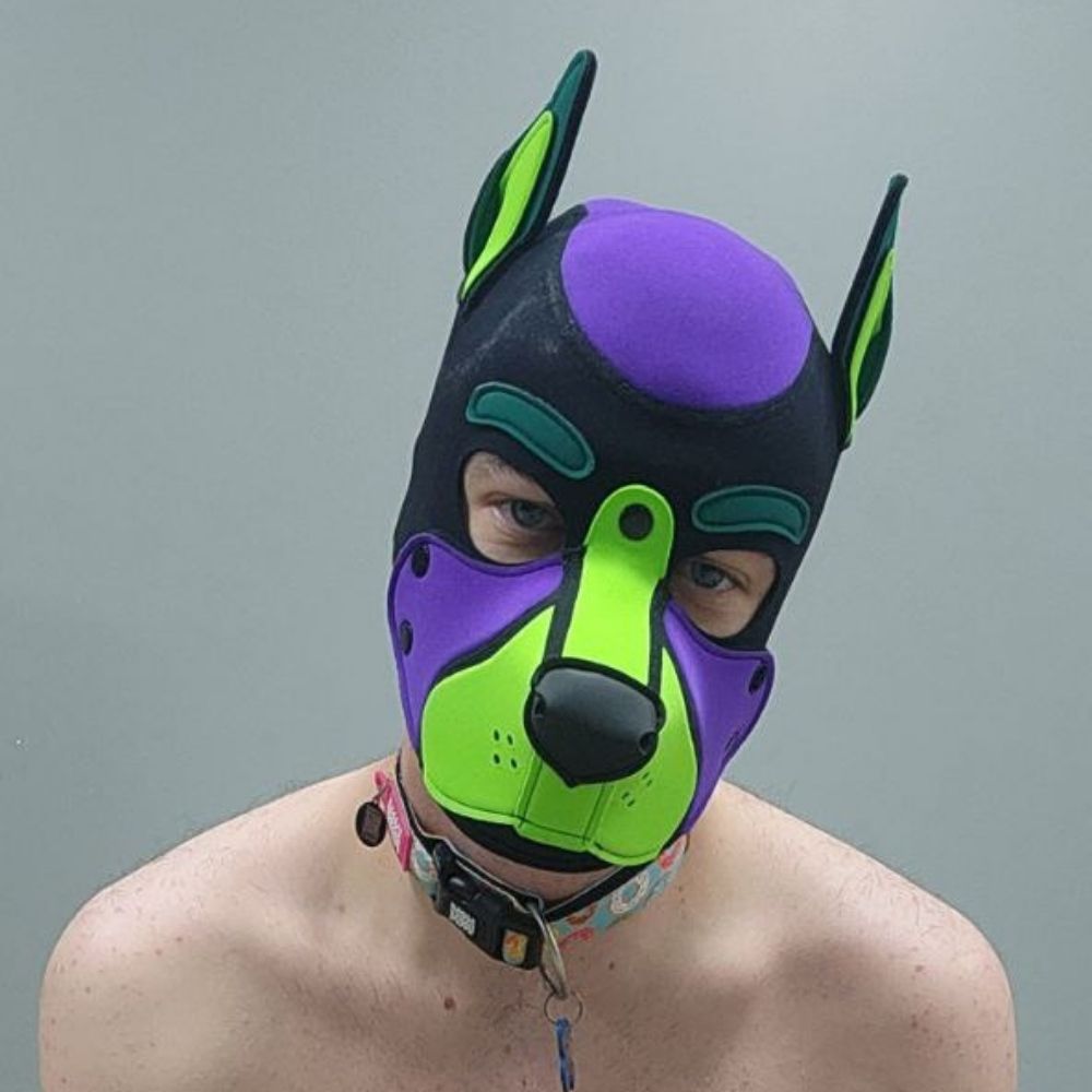 PupWilco