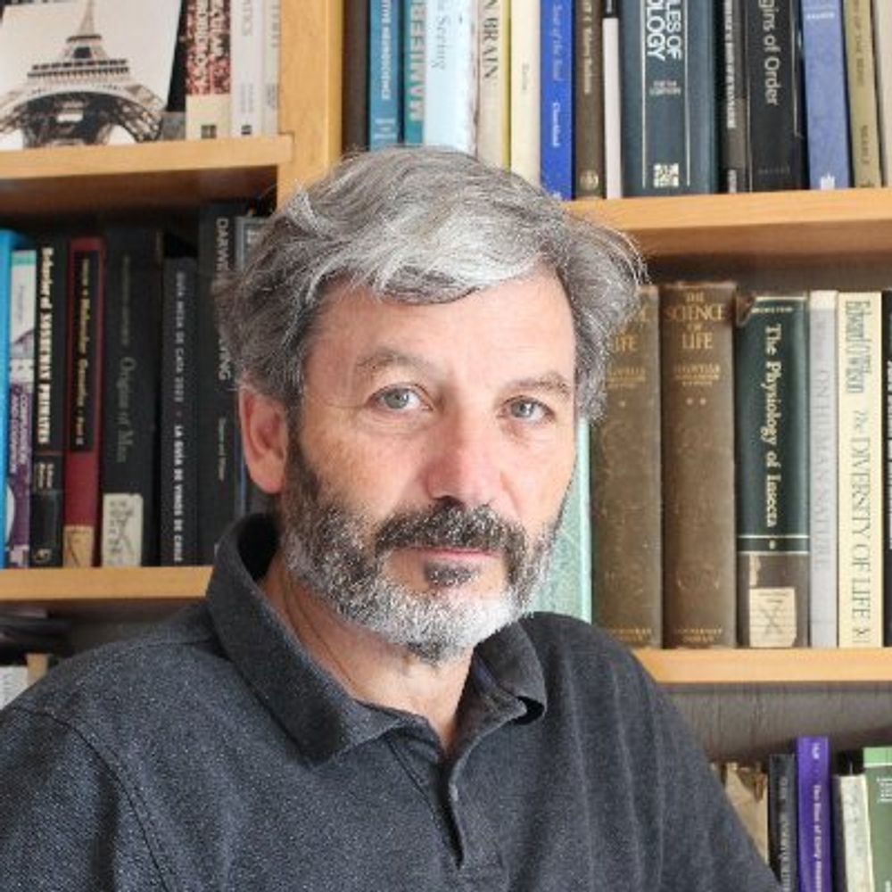 Adrian Palacios
