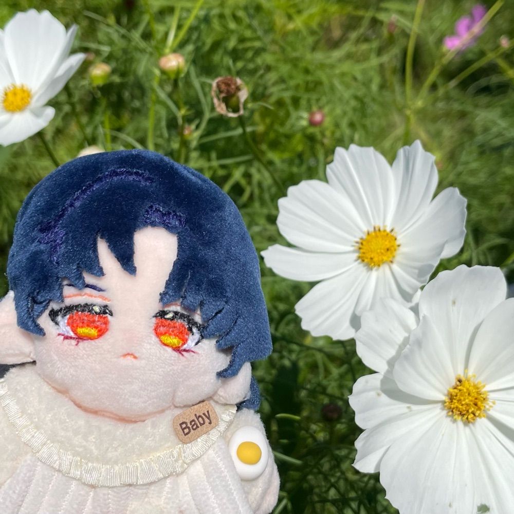 あーる