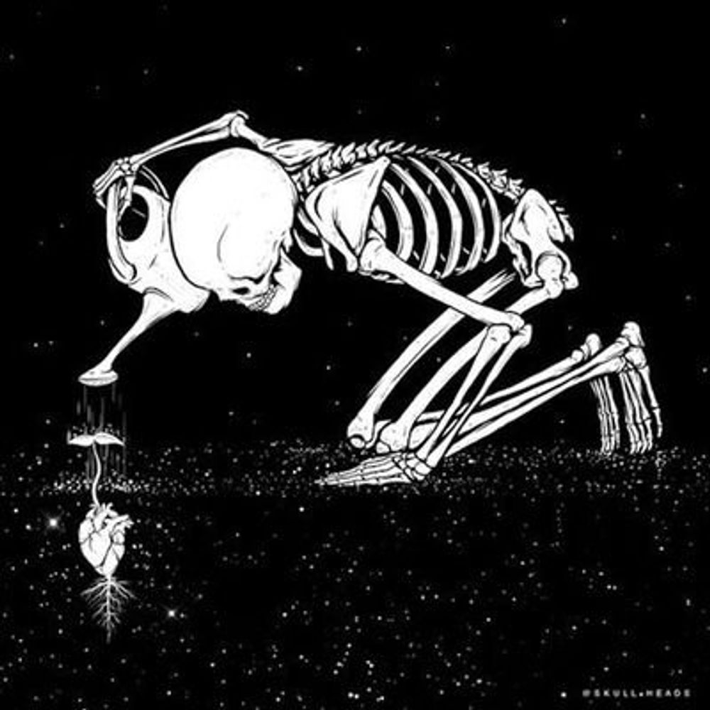 Memento mori (Fortunatly) 