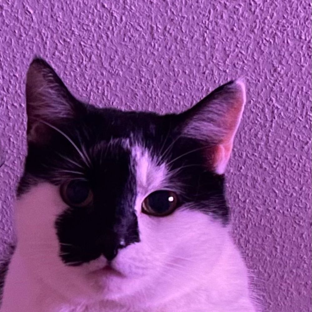 Tabea