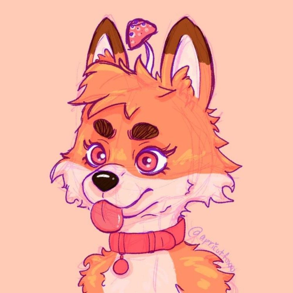 Apricot Foxxo