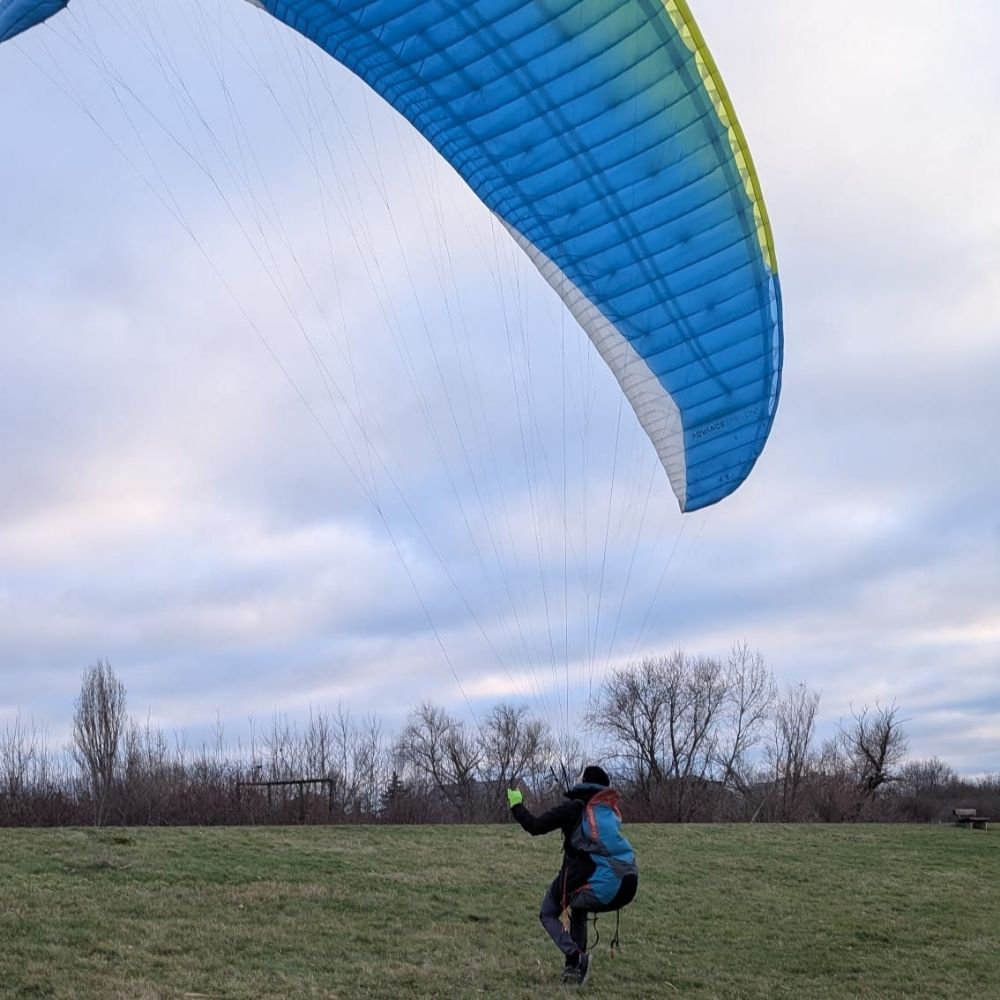 Blueglider