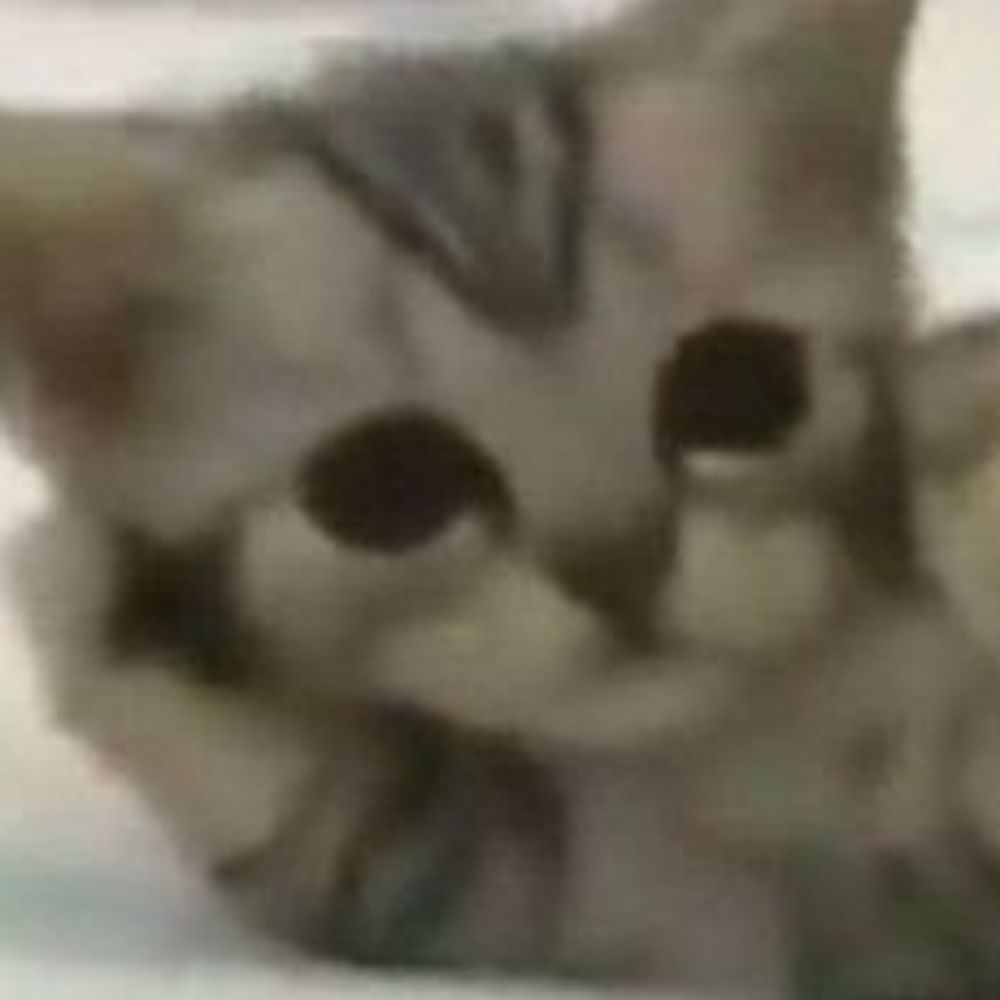 vic