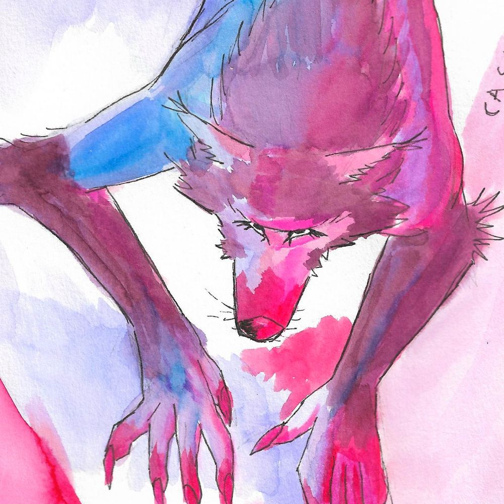Gay Furryhausen