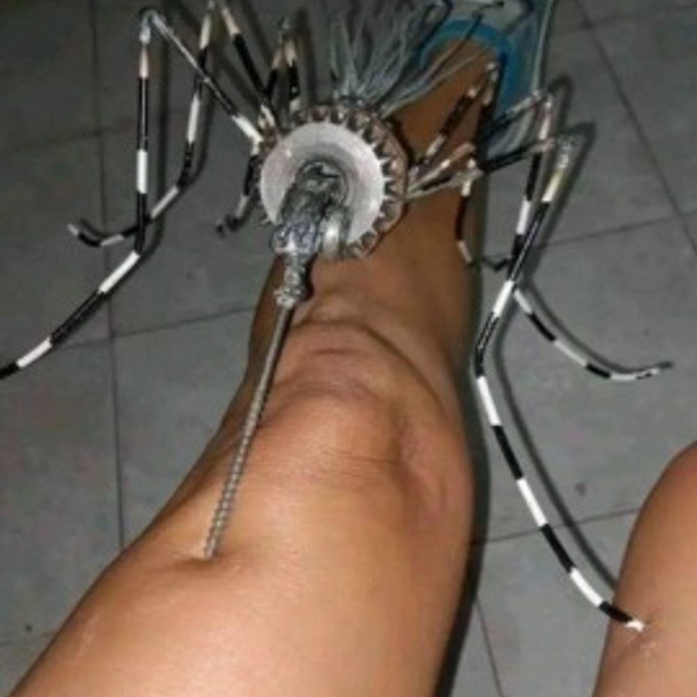 amauriçoca
