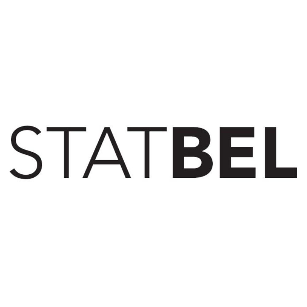 Statbel, the Belgian statistical office