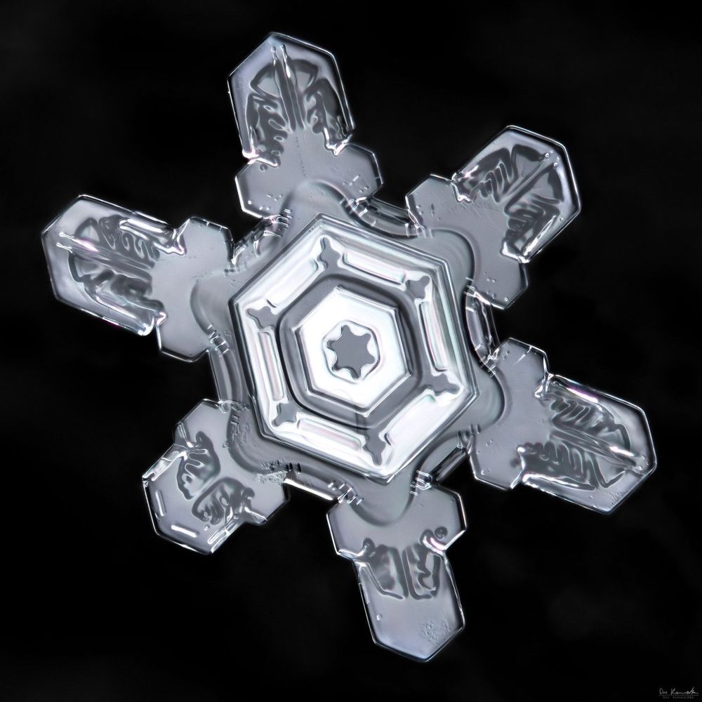 로셋❄️(상태이상)