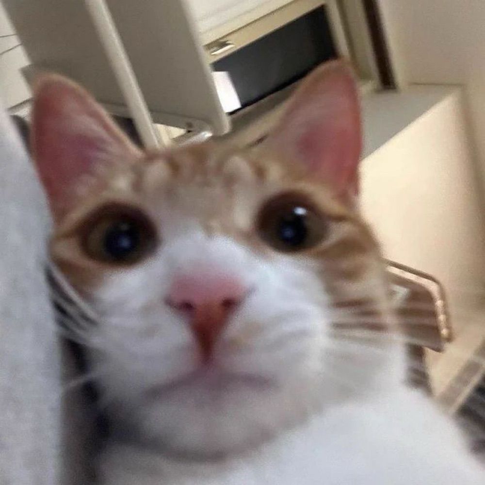 nick