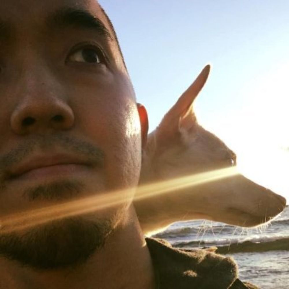 Bryan Higa