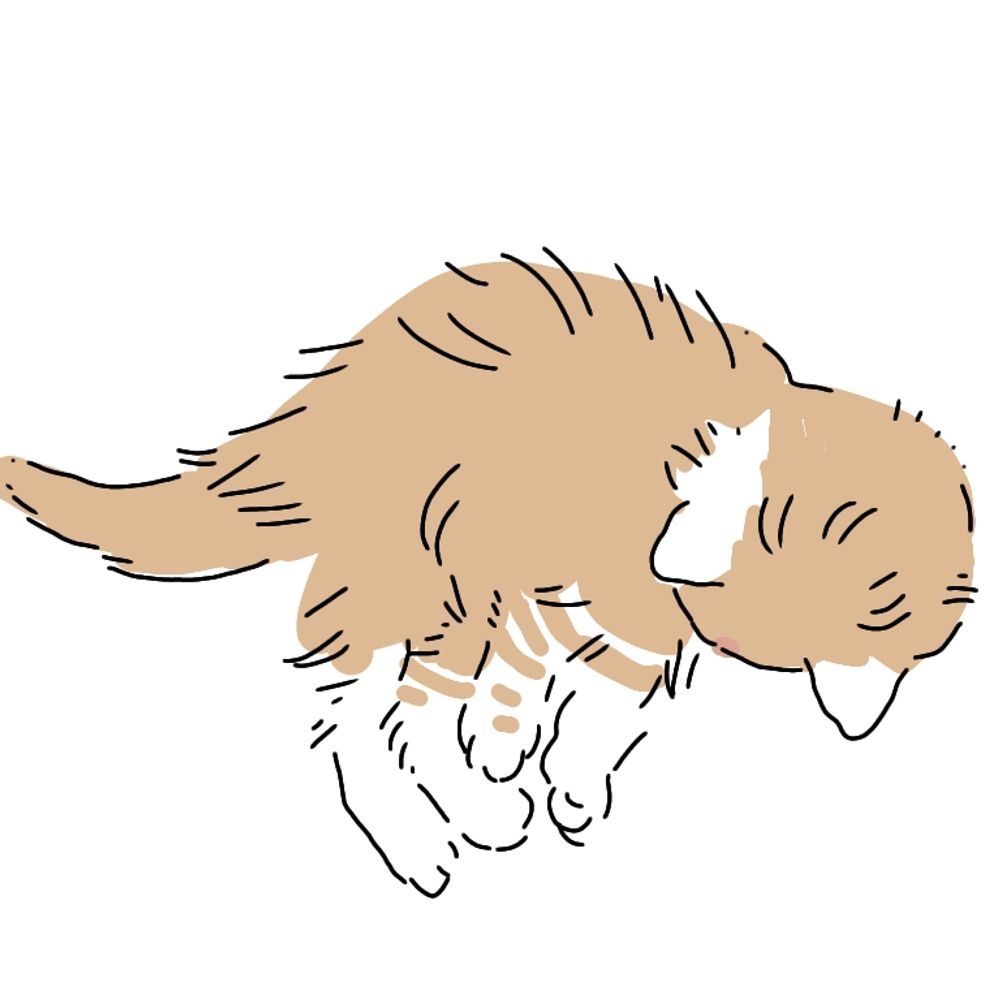 ぶたちゃん