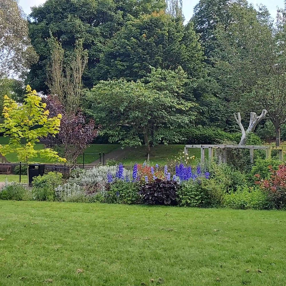 Friends of Riverside Park Chester-Le-Street 