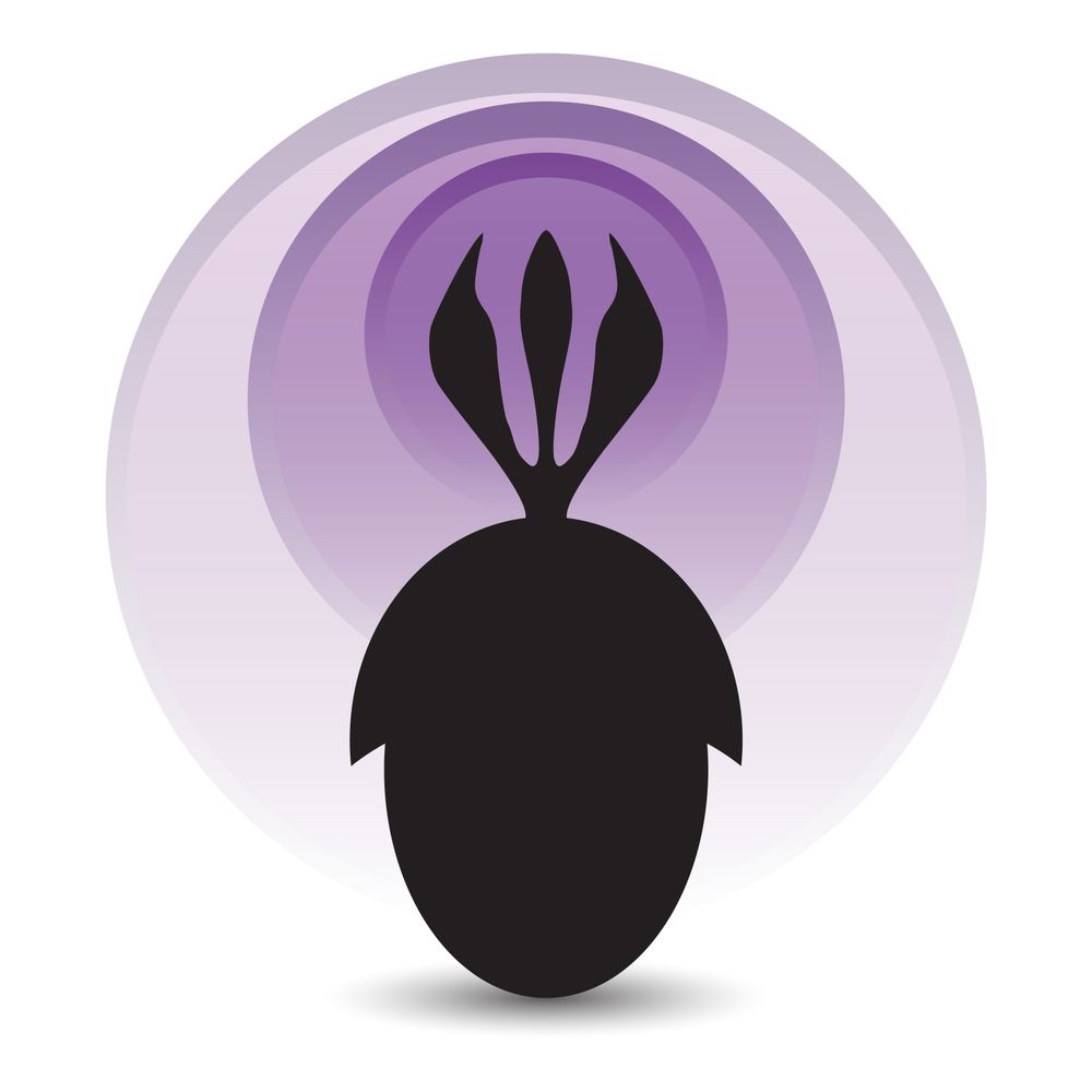 Palaeocast