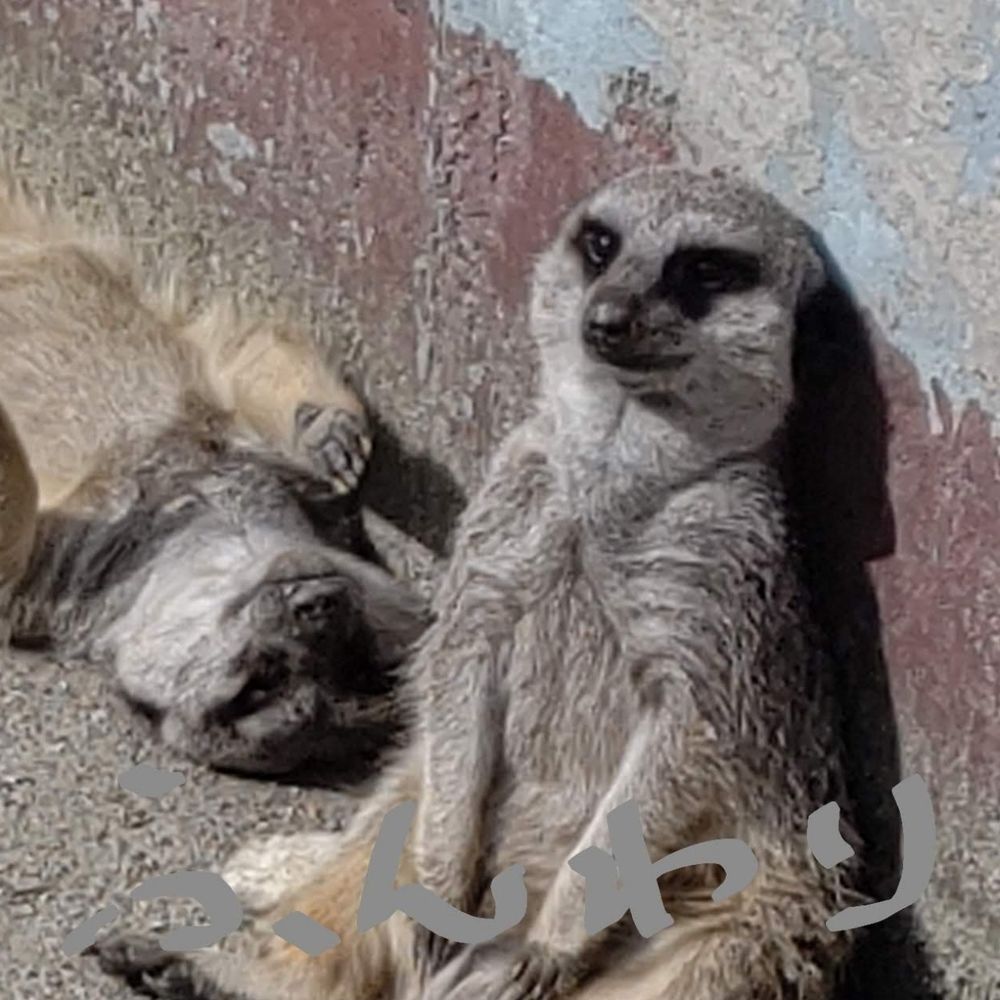 ふんわり