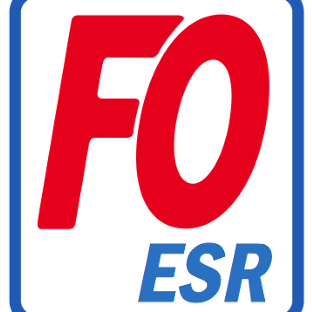 Force ouvrière enseignement supérieur et recherche