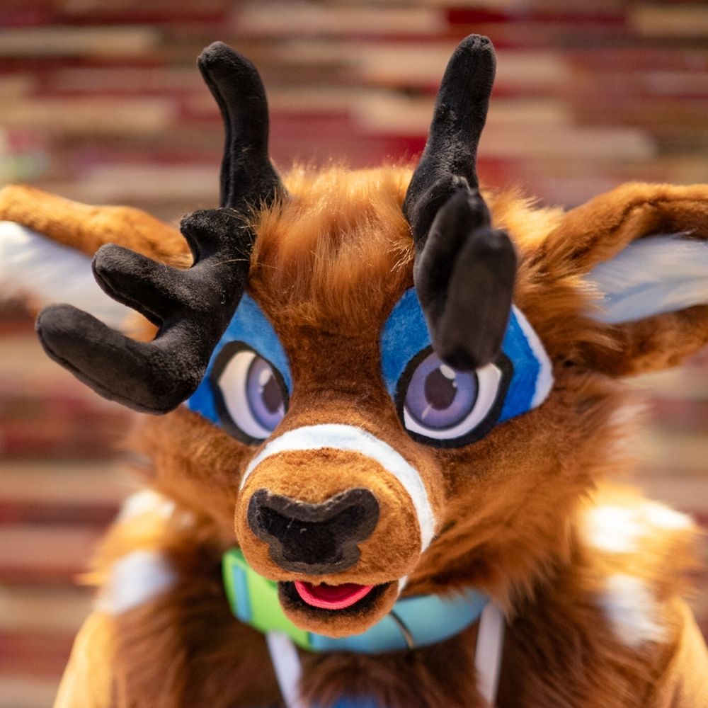 Buck