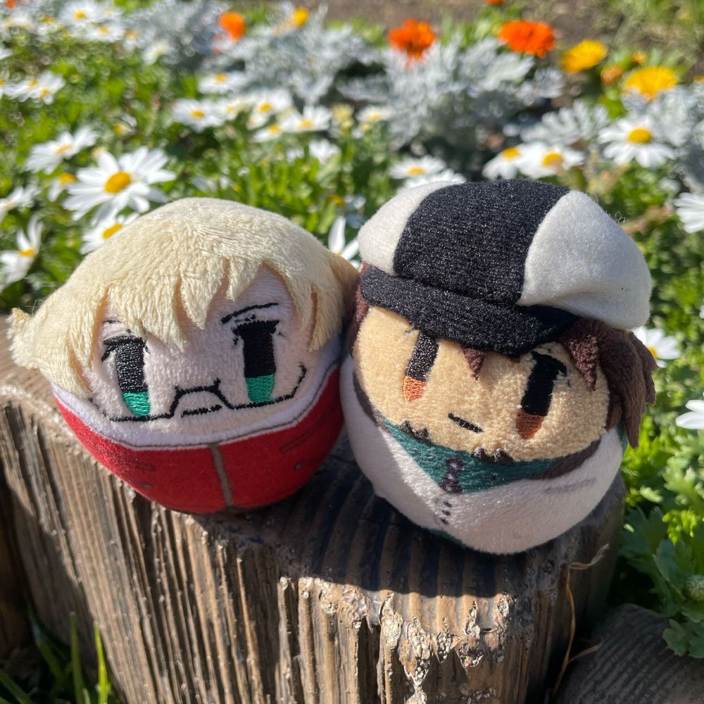 えいみฅ^•ω•^ฅ