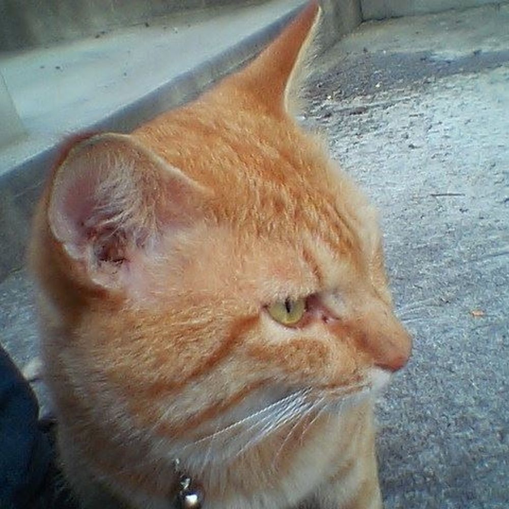 にょろ