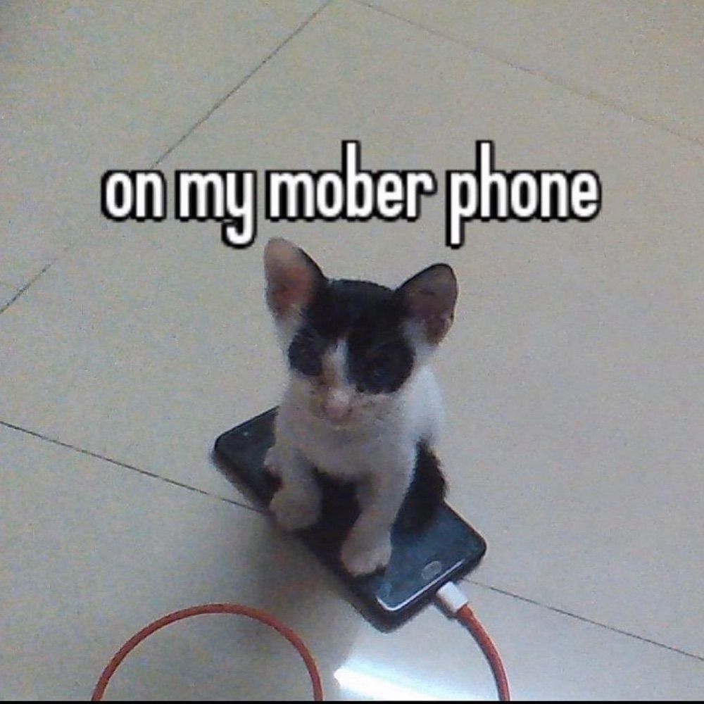 Mr. Blerp