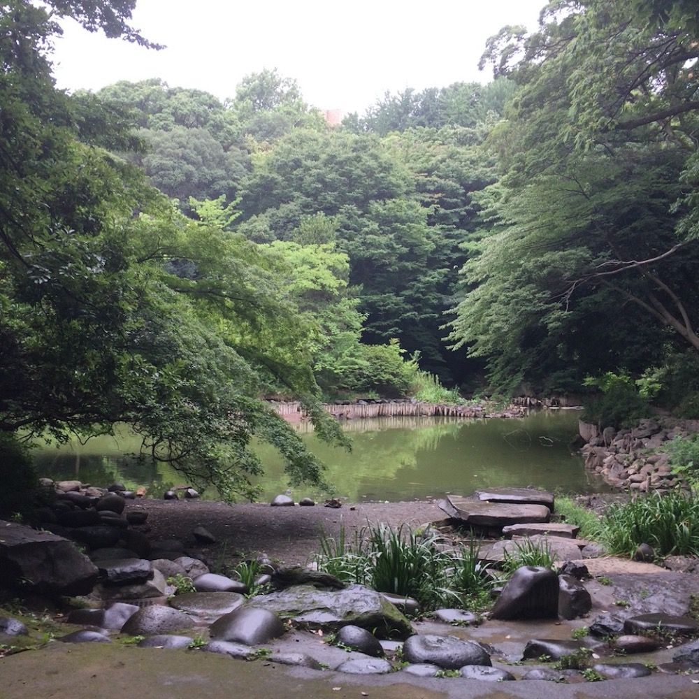 トラ医