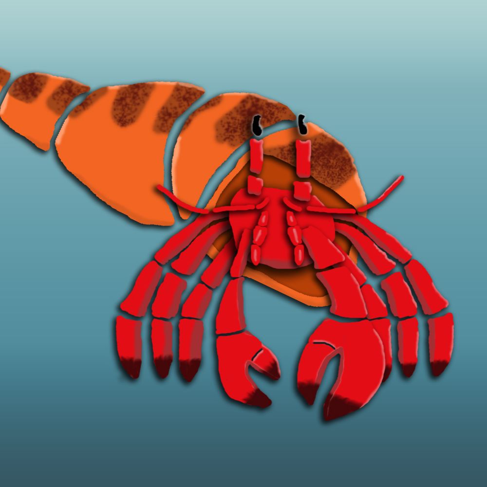🦀 Kaizo Trap 🐀