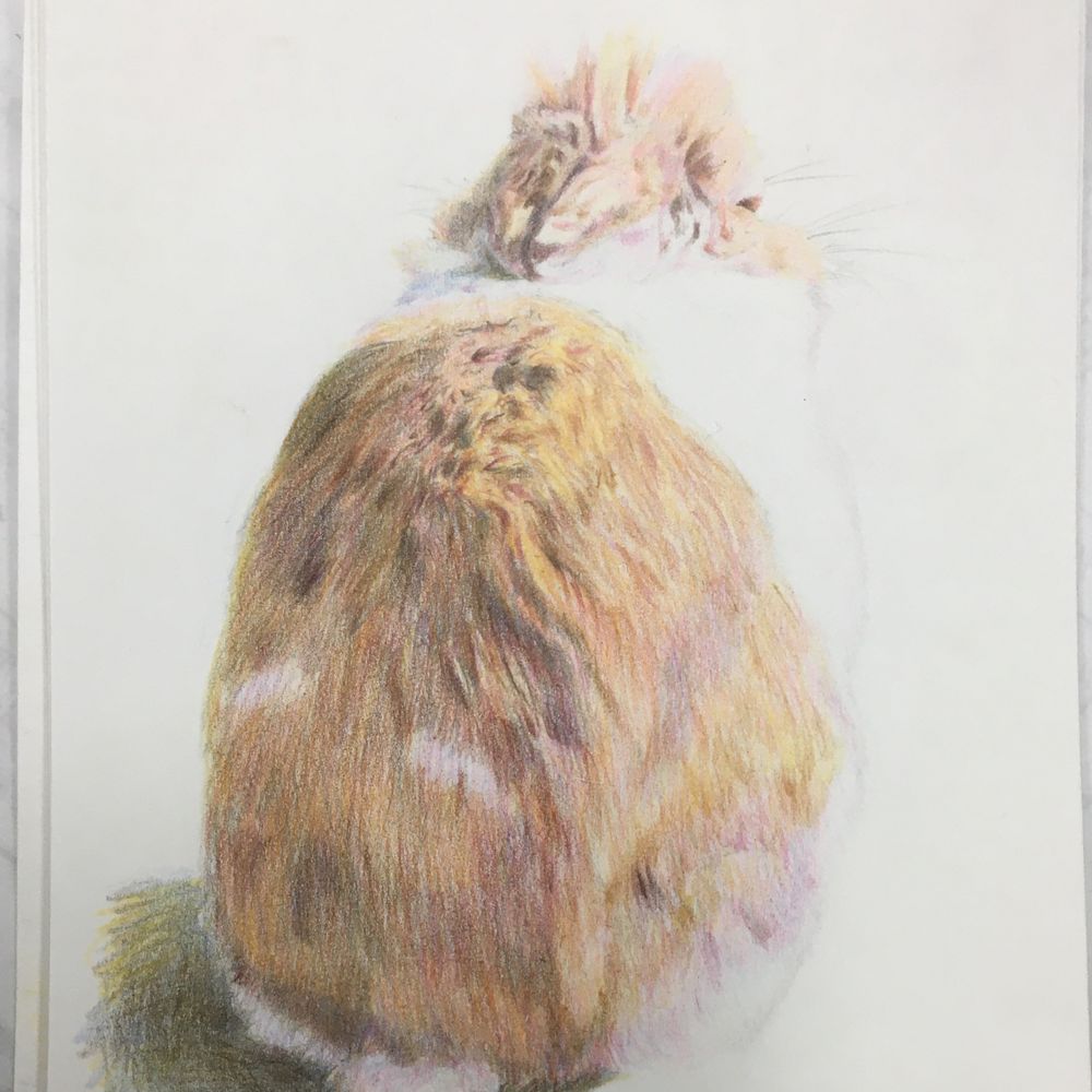島田草太朗 🌱 Kusataro SHIMADA
