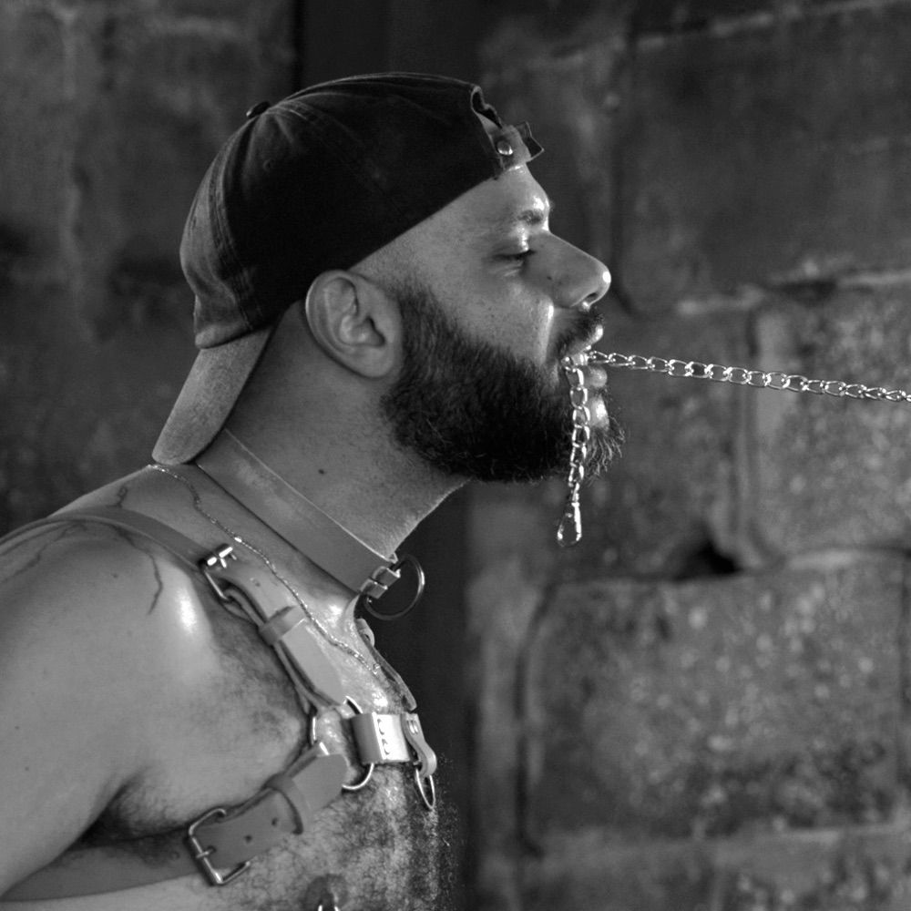 Harness&sons