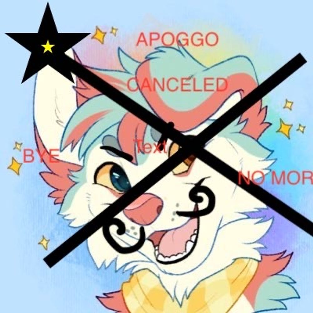 find me @apollo.pet