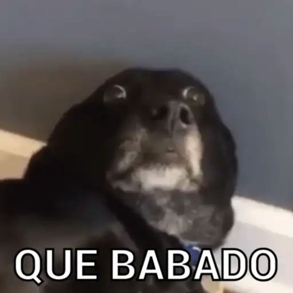 Curioso 
