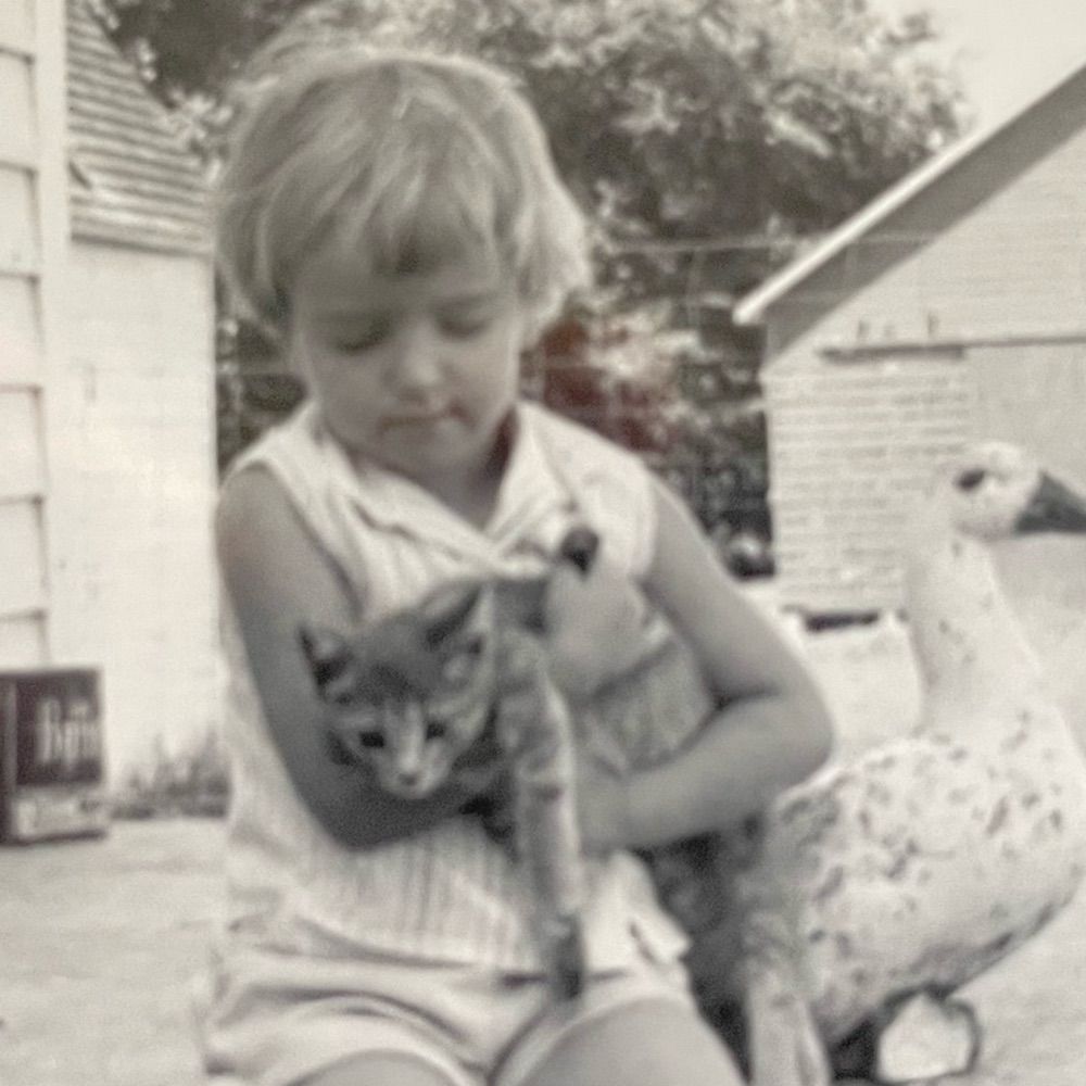 Broc❤️Cats